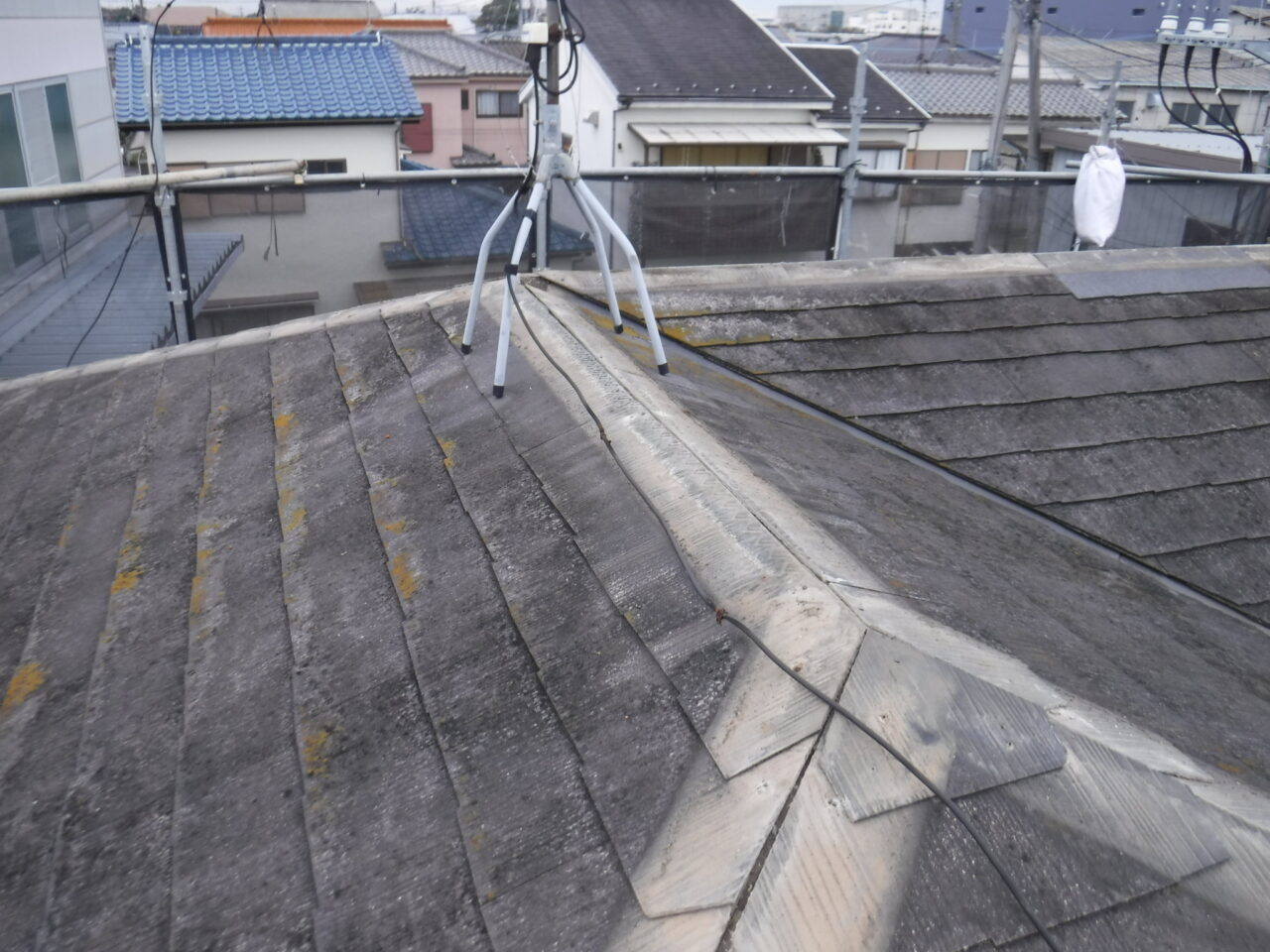 DSCF4389