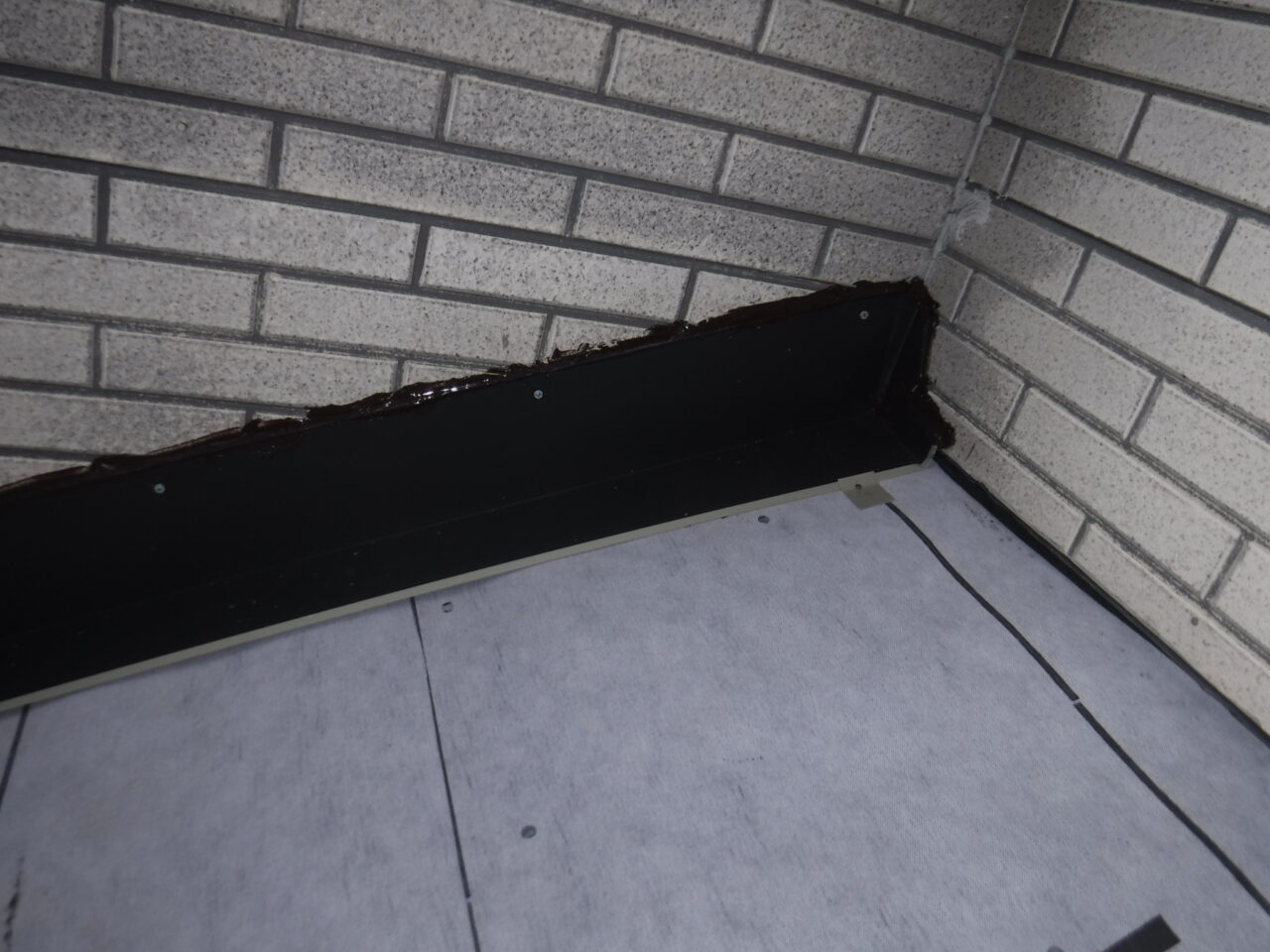 DSCF4408