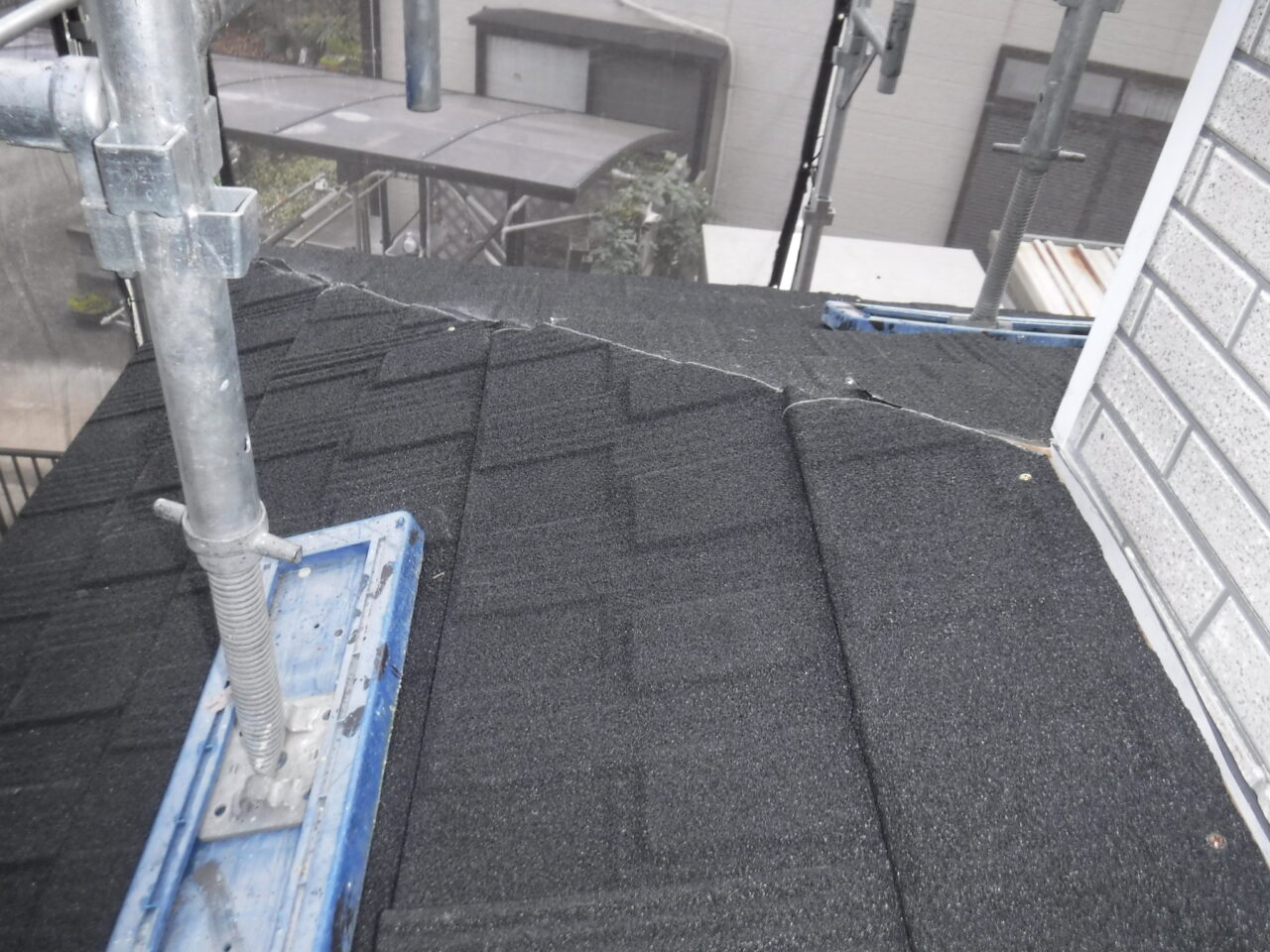 DSCF4424